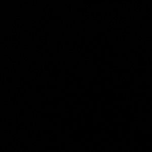 Meet your Posher, Adriana